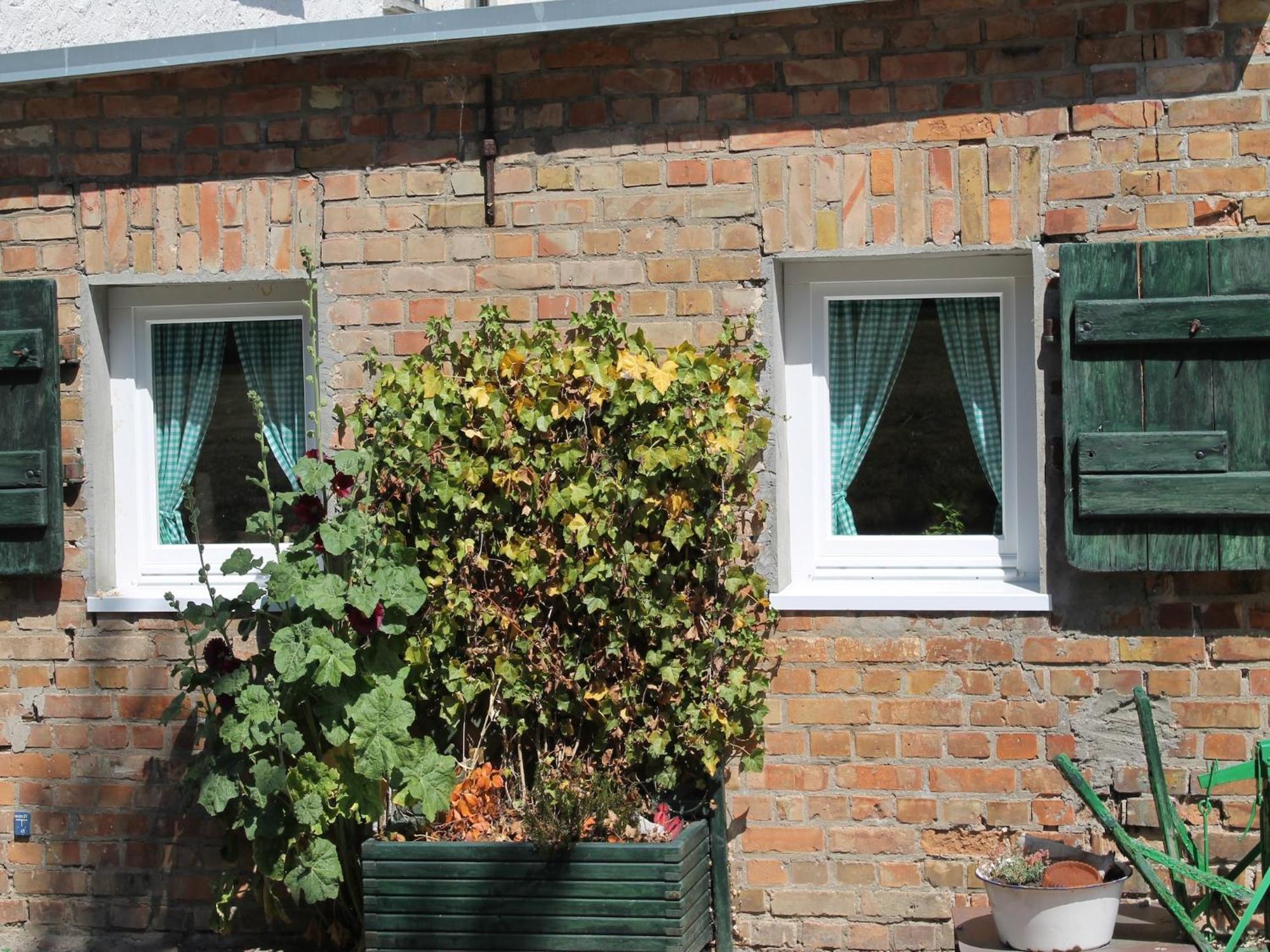 Beautiful Apartment In Damgarten With Garden Ribnitz-Damgarten Ngoại thất bức ảnh